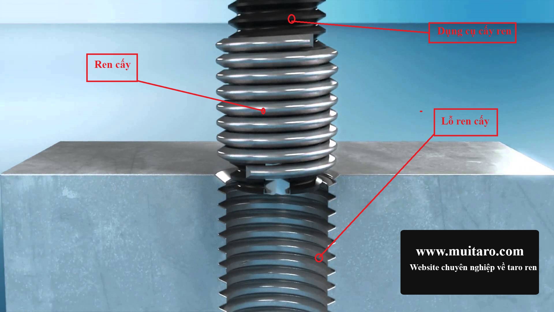 sY_dYng_ren_cYy_nhY_thY_nao_www.muitaro.com